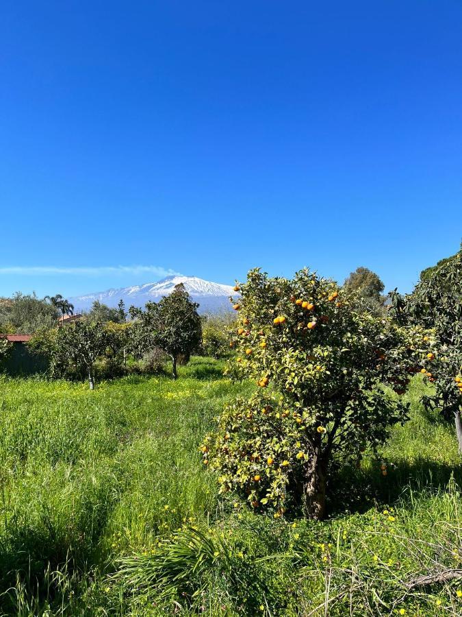Appartement Casa Dei Fiori Con La Vista A Taormina à Schiso Extérieur photo